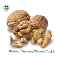 Walnut Kernels Light color Pieces(LP) from Chinese factory